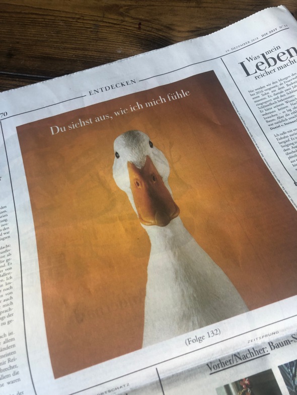 Die Zeit newspaper, 'You Look How I Feel'